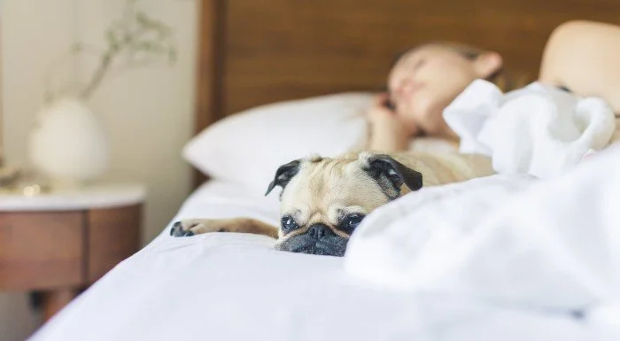 Person sleeping peacefully in bed for optimal workout recovery