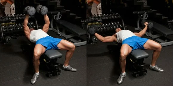 Chest Press