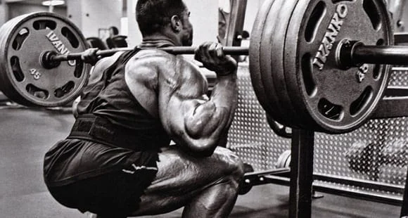 barbell squat