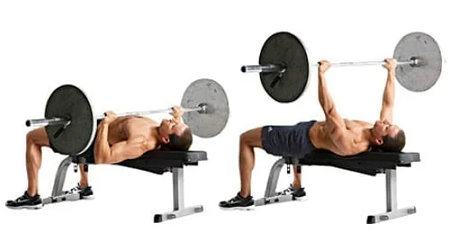 flat barbell bench press