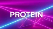 Protein